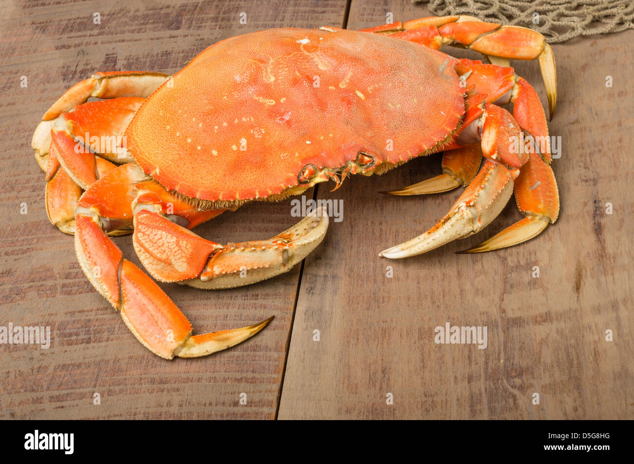 Dungeness crab meat hires stock photography and images Alamy