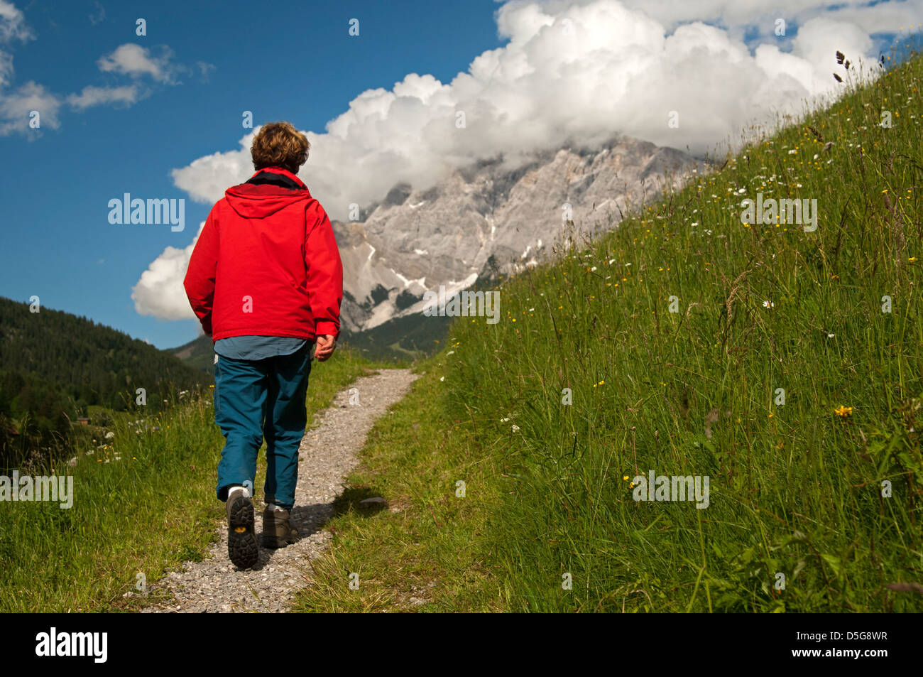 Hiker on a trail in the hiking area Ehrwalder Becken, view at the Wetterstein Mountains, Ehrwald, Tyrol, Austria Stock Photo