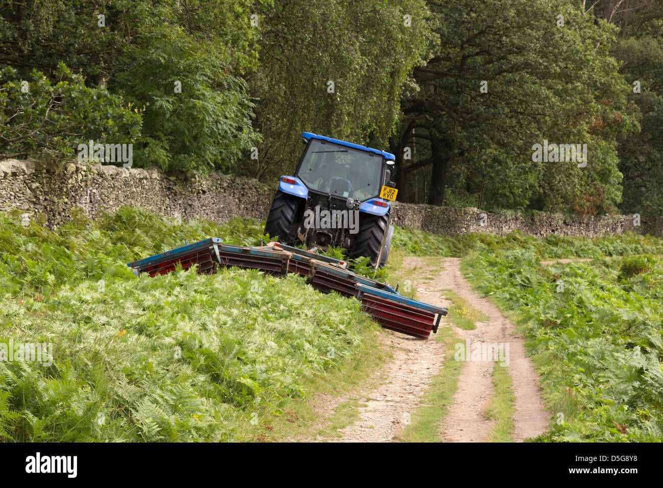 Blue tractor bracken rolling in Bradgate Park,Leicestershire, England, UK Stock Photo