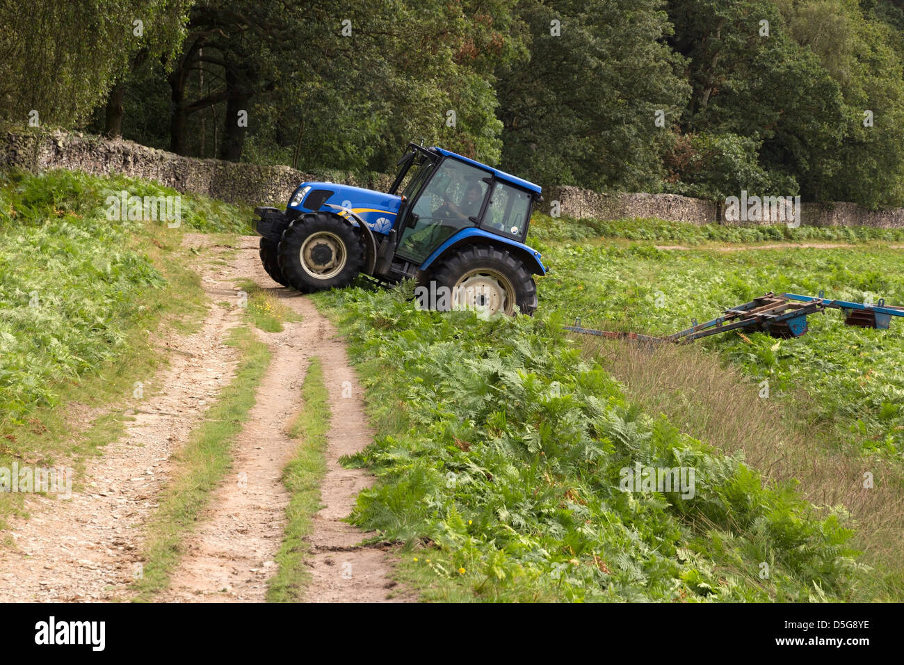 Blue tractor bracken rolling in Bradgate Park,Leicestershire, England, UK Stock Photo