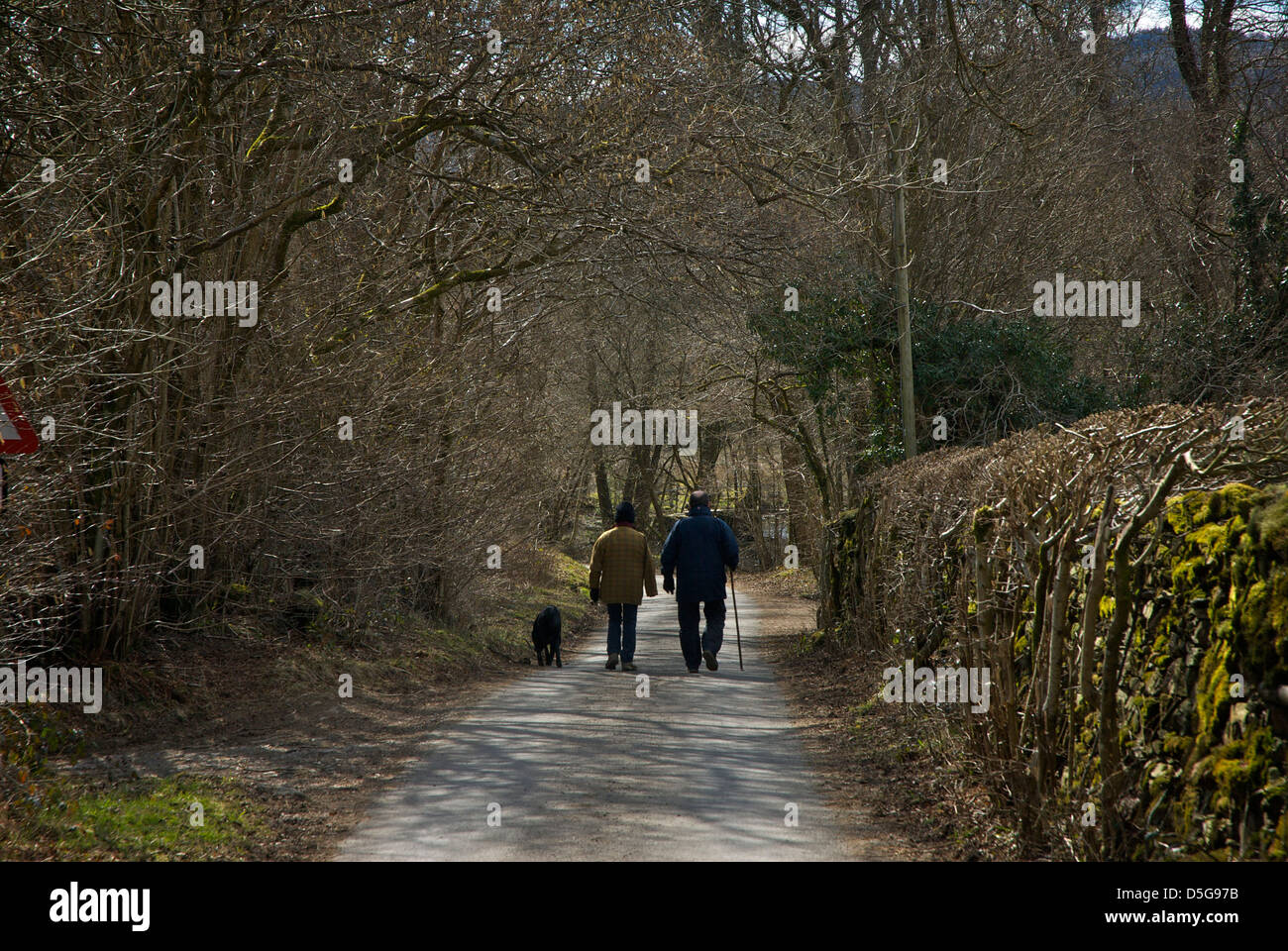 Couple walking their dog on country lane in the Winster Valley, Lake District National Park, Cumbria, England UK Stock Photo
