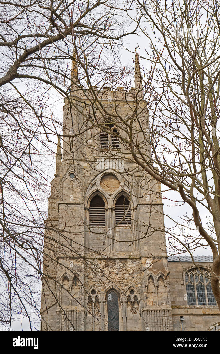 A view through the trees of St Margarets Church Kings Lynn Stock Photo