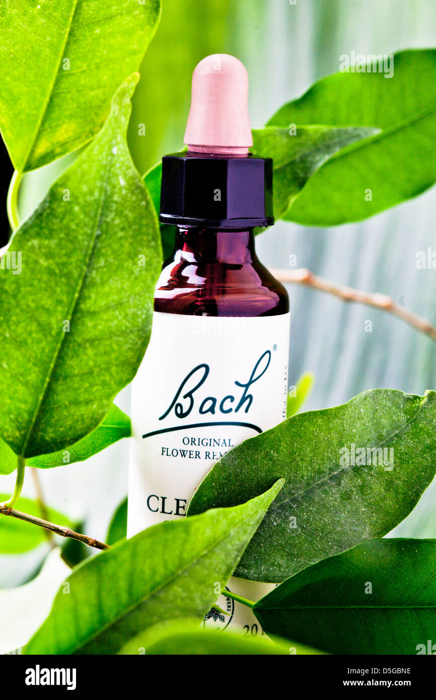 bach flower remedies Stock Photo Alamy