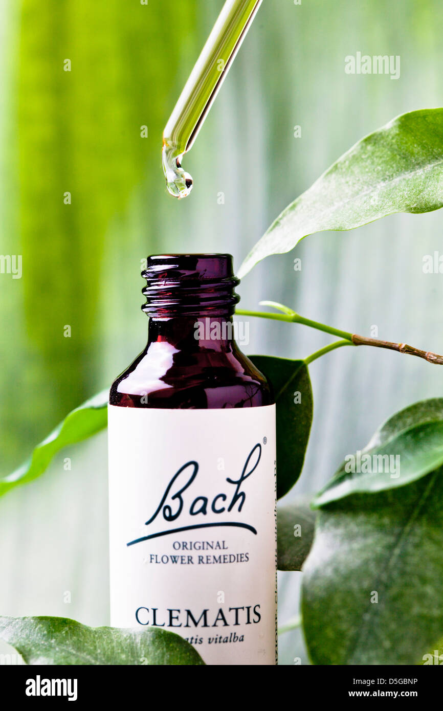 bach flower remedies Stock Photo
