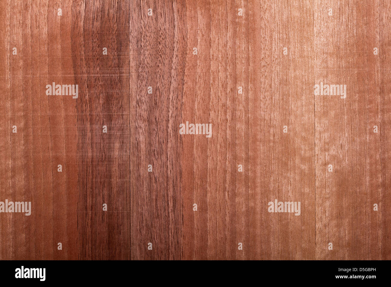 closeup image of natural wood texture Stock Photo Alamy