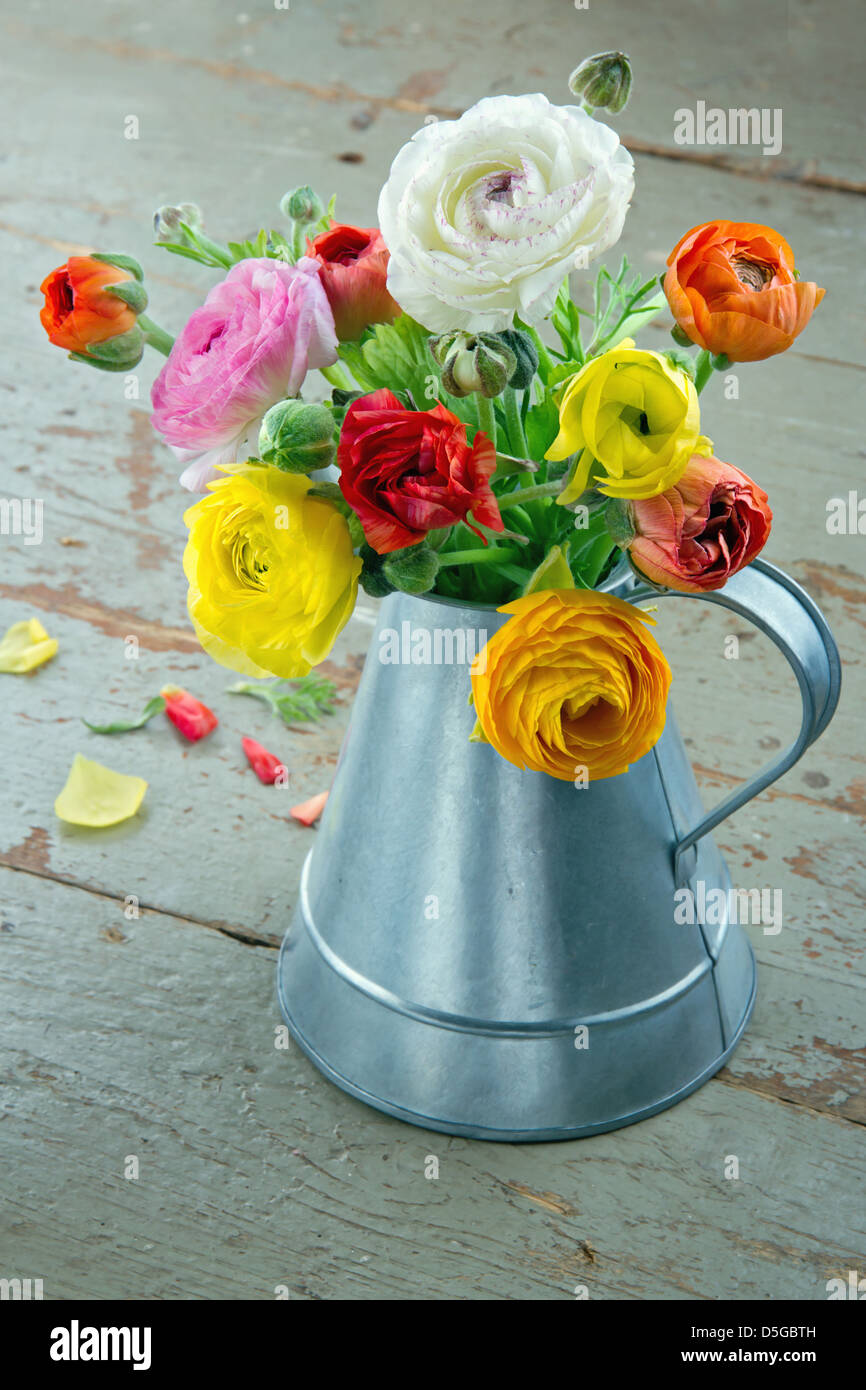 Colorful ranunculus flowers on vintage wooden background Stock Photo