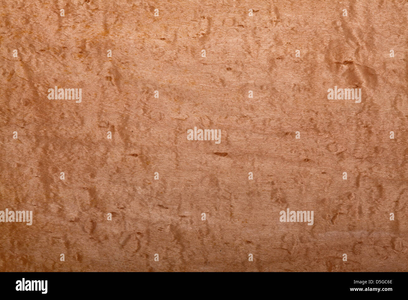 closeup image of natural wood texture Stock Photo - Alamy