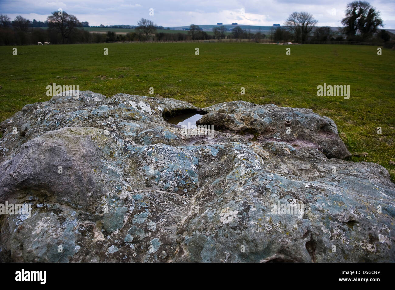 A large recumbent sarsen stone near the ruined Winterbourne Bassett Stone Circle, Wiltshire, UK Stock Photo