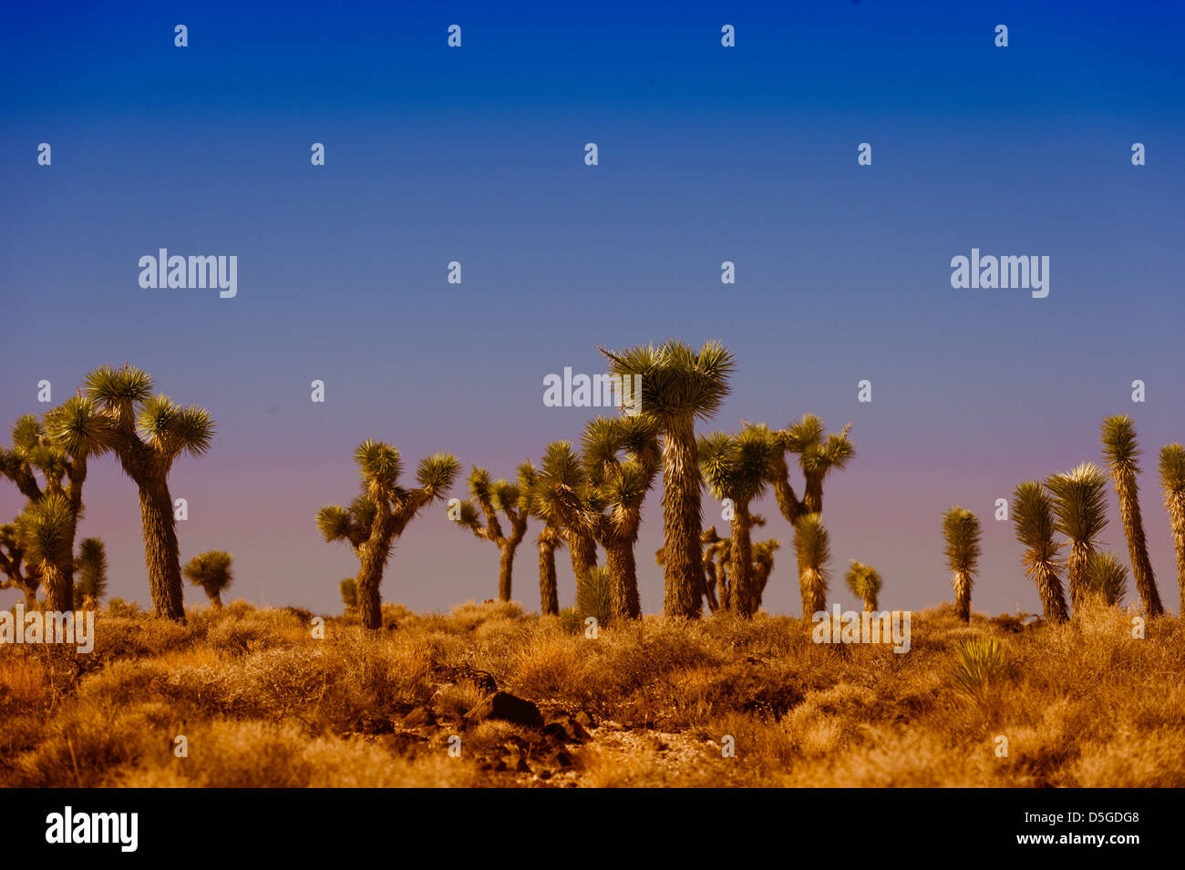 Death valley landscape color hi-res stock photography and images - Alamy