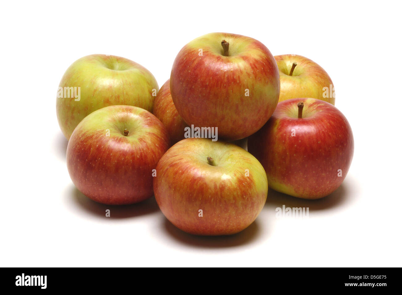 Seven ripe Cox's apples Stock Photo