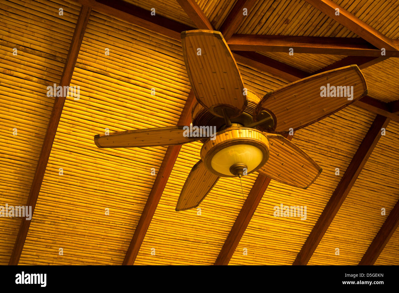 Wooden Ceiling Fan In Classic Tropical Style Stock Photo 55067145