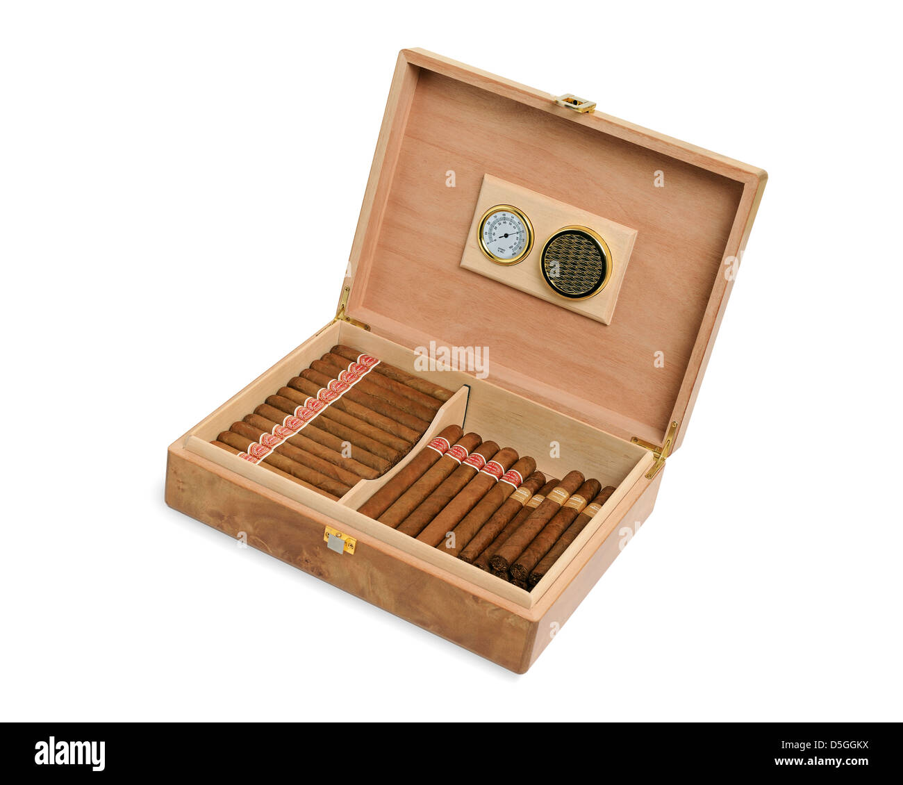 Cigar Humidor, Cut Out. Stock Photo