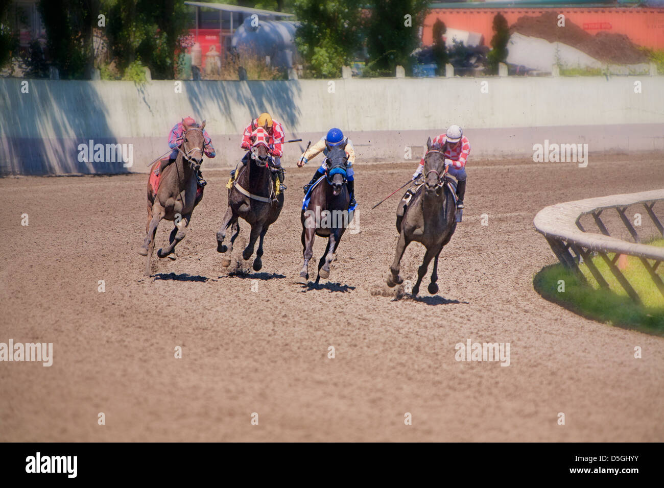 Horse racing, Four horses round the 4th pole, heading for the finish