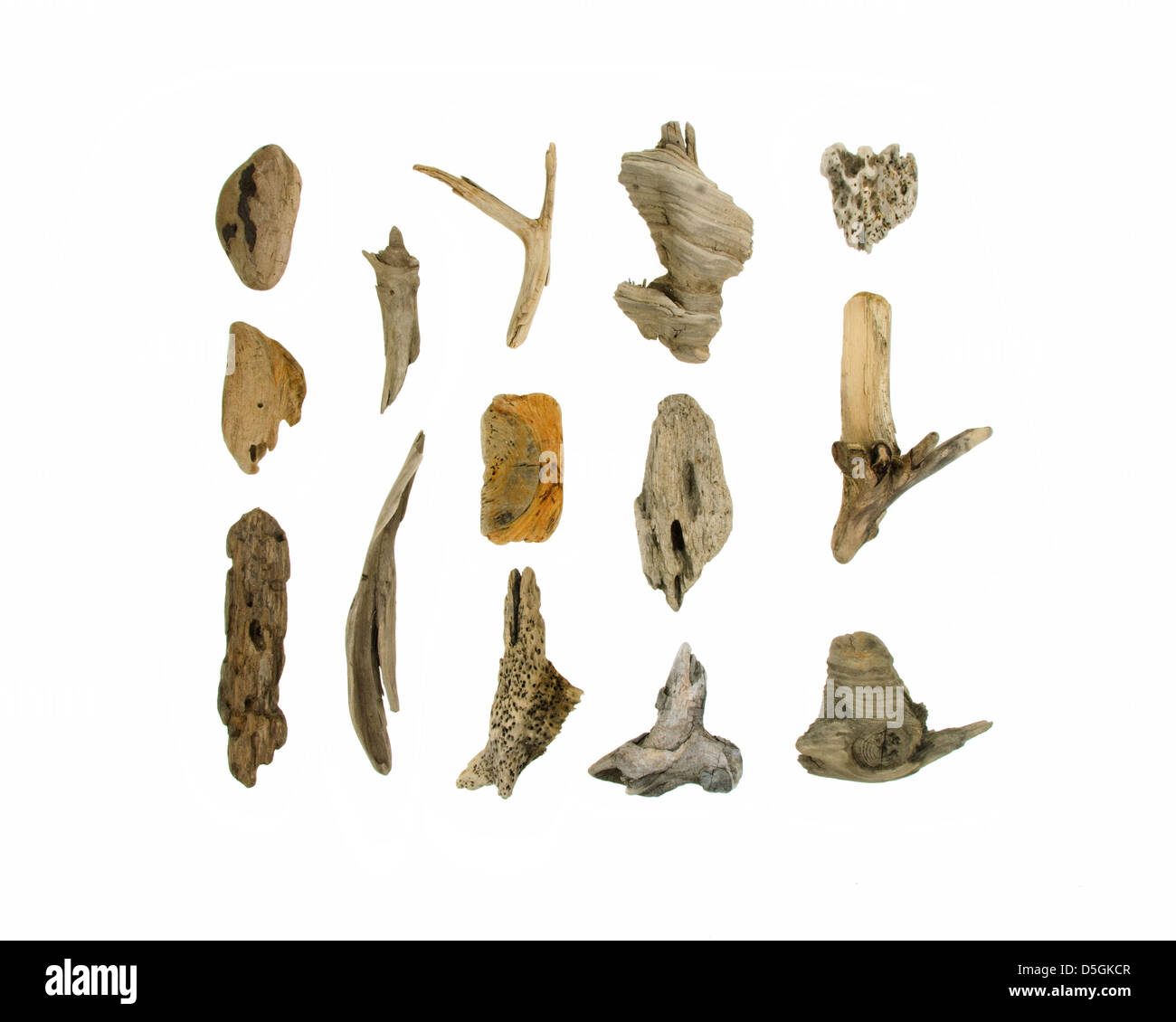 Fourteen pieces of Maine driftwood on a white background. Stock Photo