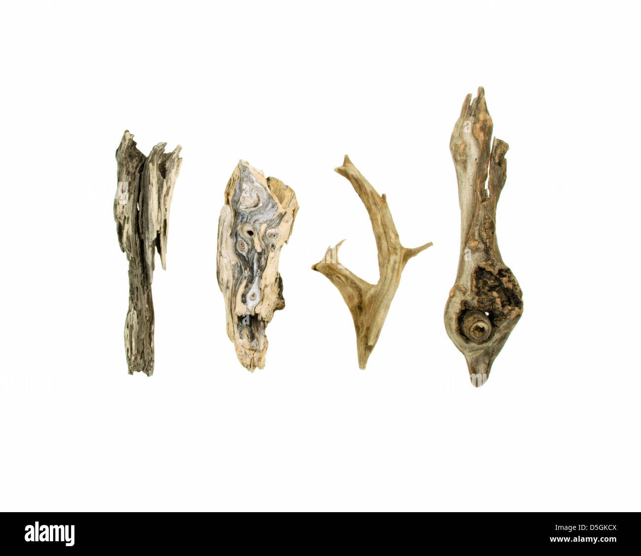 Four pieces of Maine driftwood on a white background. Stock Photo