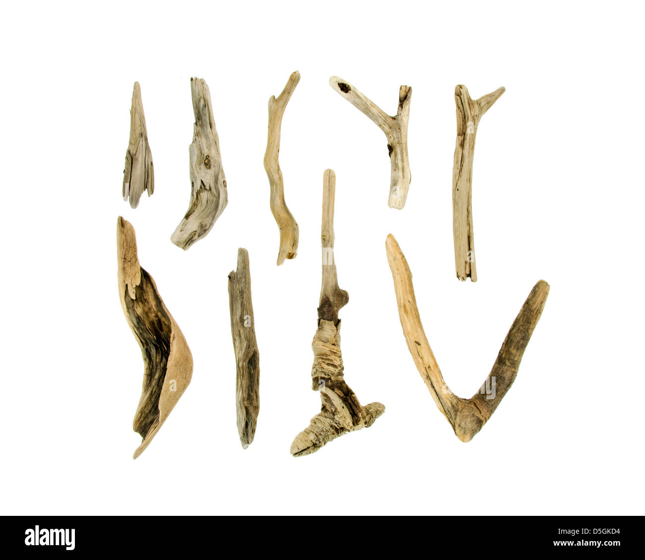 Nine pieces of Maine driftwood on a white background. Stock Photo