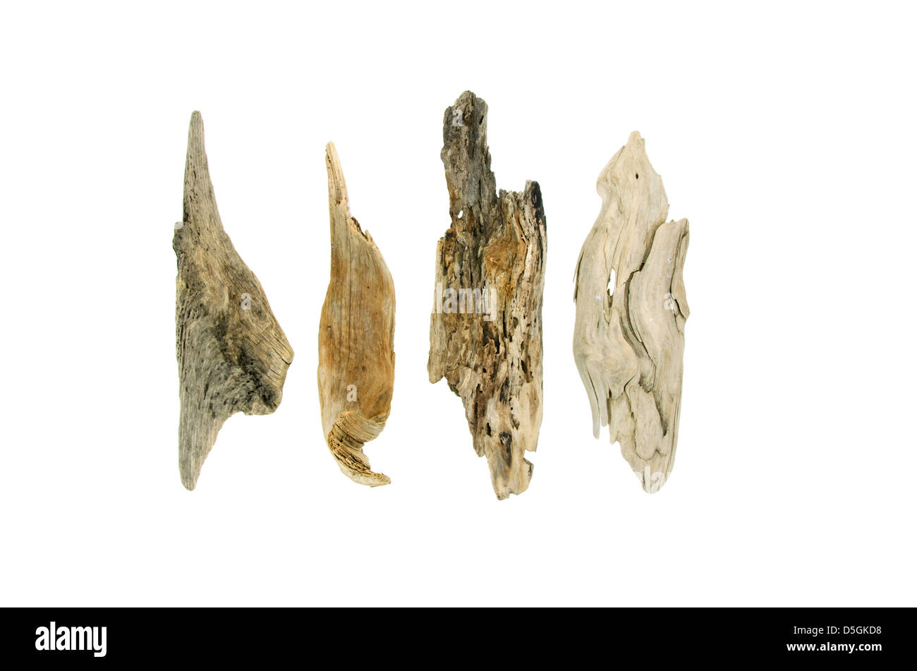 Four pieces of driftwood on a white background. Stock Photo