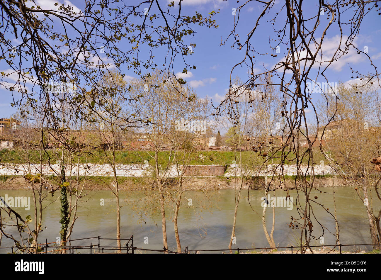 Rome, view of Tevere river through the branches of trees with old buildings Stock Photo