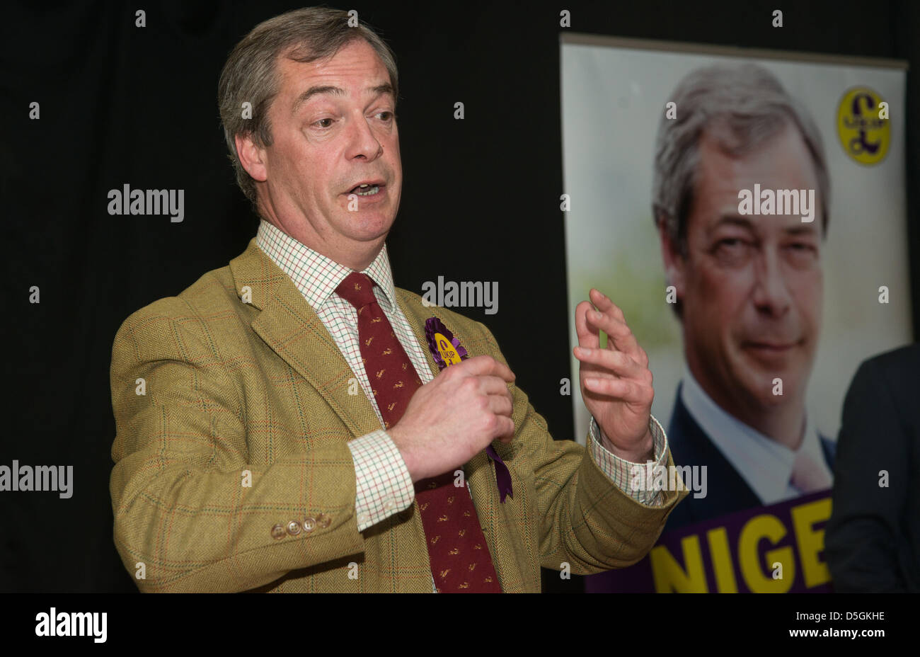 Callington Cornwall UK . Leader of the UK Independence party Nigel Farage MEP begins his national tour in Callington Stock Photo