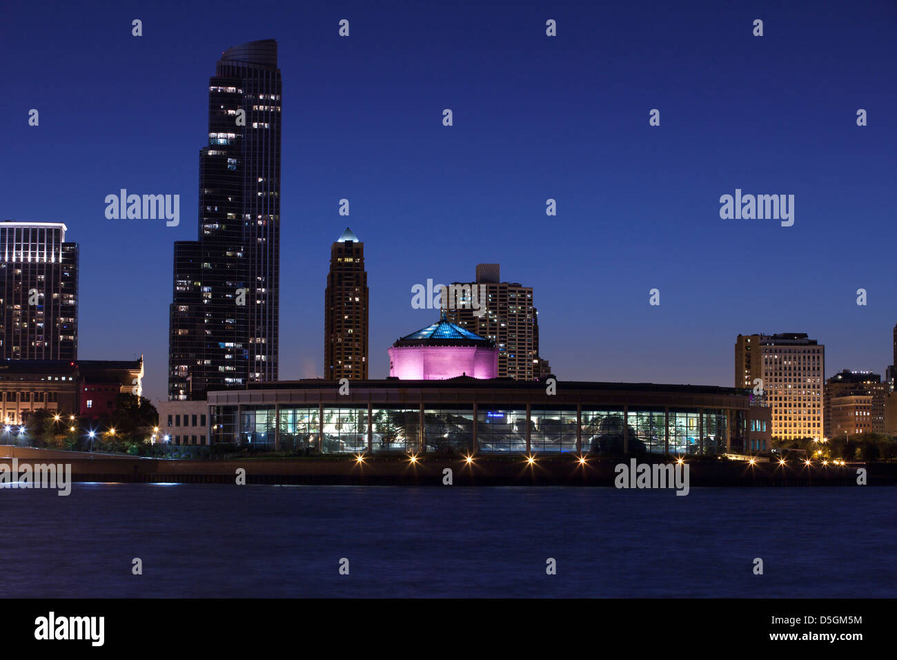 SHEDD AQUARIUM LAKE SHORE SKYLINE DOWNTOWN CHICAGO ILLINOIS USA Stock