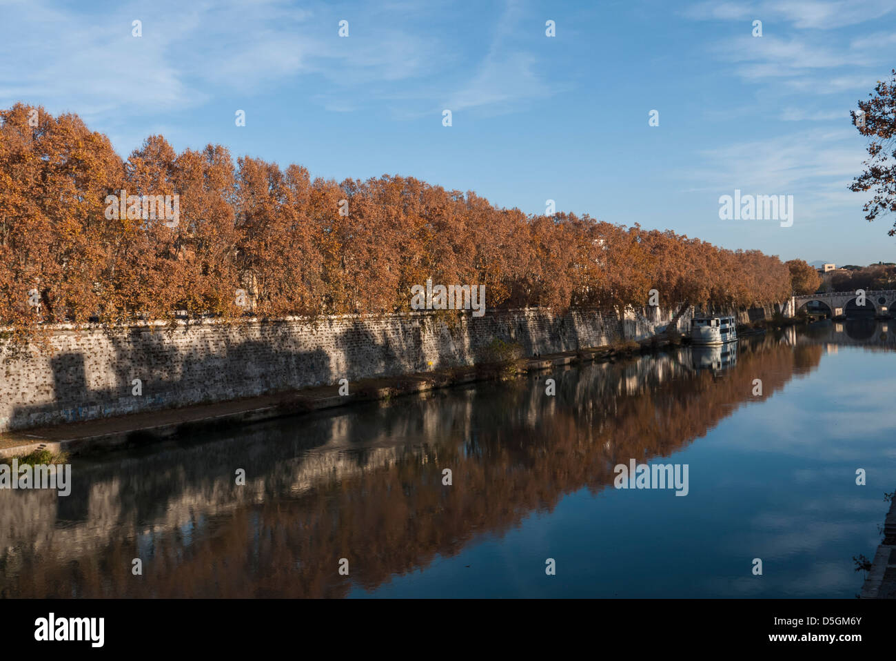 Rome, the Tiber in autumn plane trees with yellow leaves reflected in water Stock Photo