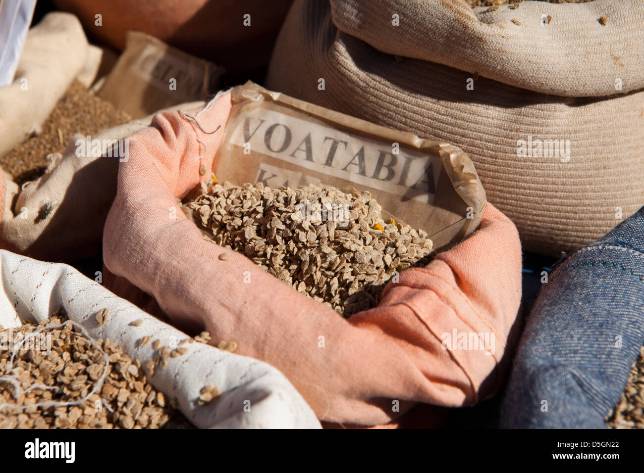 Madagascar, Ambatofosy, market, fruit and vegetable seeds on sale to farmers Stock Photo