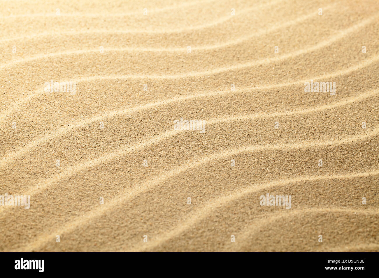 Sand summer background. Sandy beach texture. Copy space Stock Photo