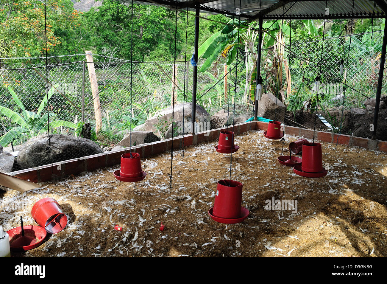 Chicken Feeders Stock Photos Chicken Feeders Stock Images Alamy