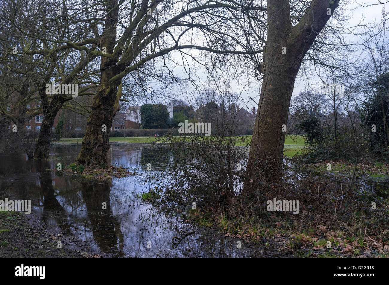 Waterlogged ground at Tooting Bec Common. Stock Photo