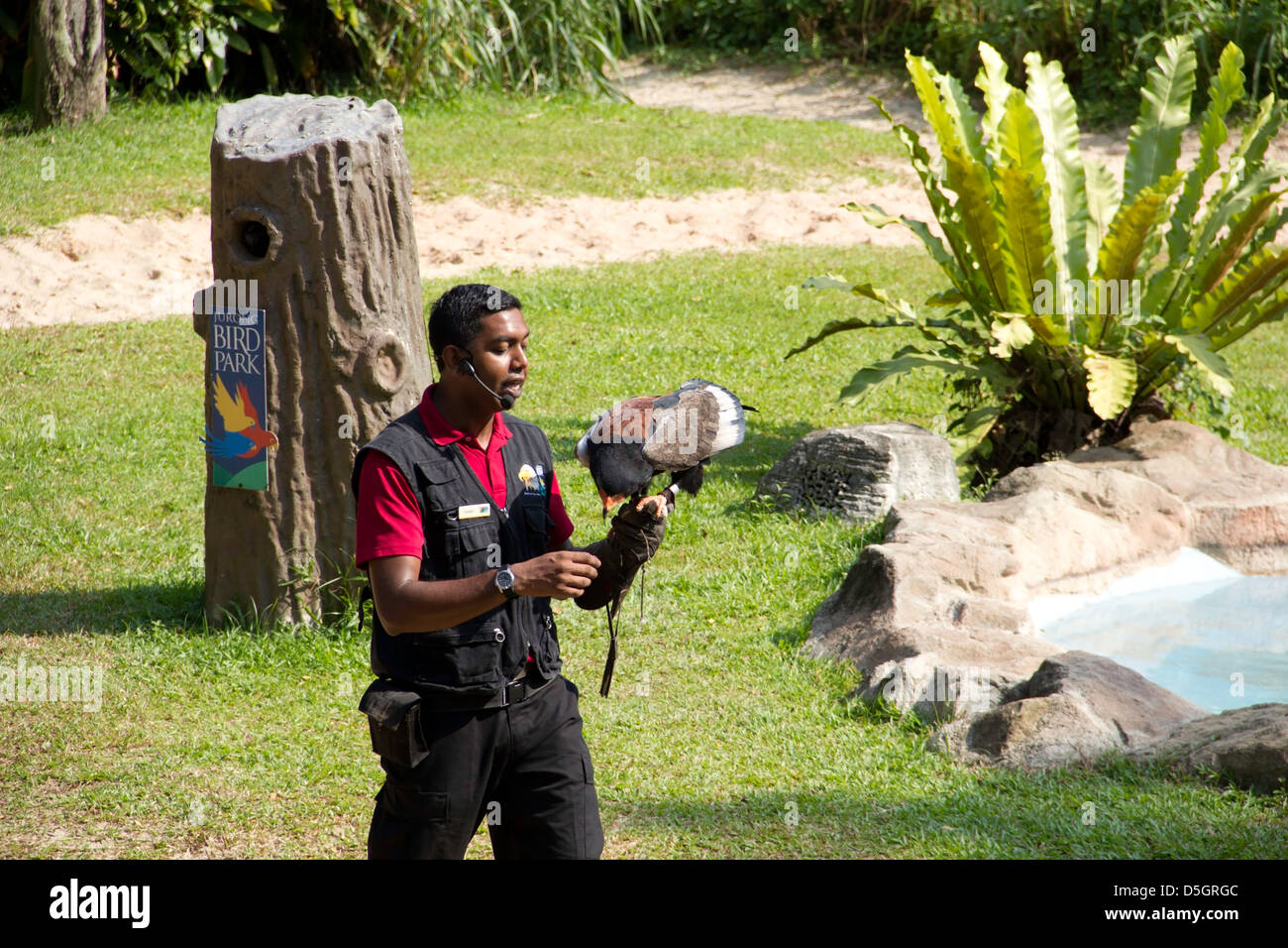 A trainer and a large bird of prey at 'The Birds of Prey' show inside the Jurong Bird Park inside Singapore Stock Photo