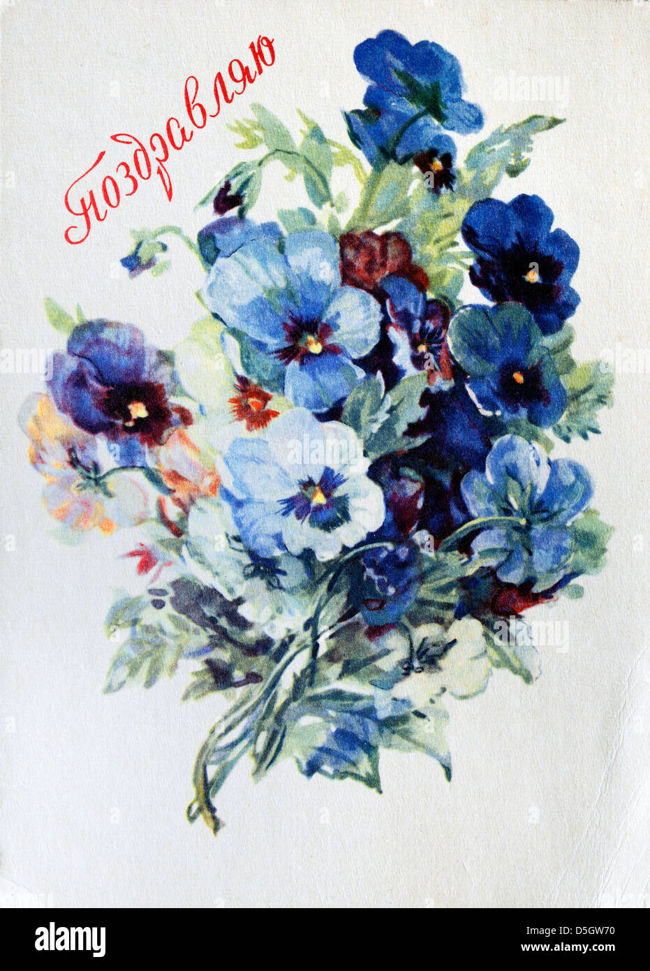 Vintage Postcard With Flowers Russia Stock Photo Alamy