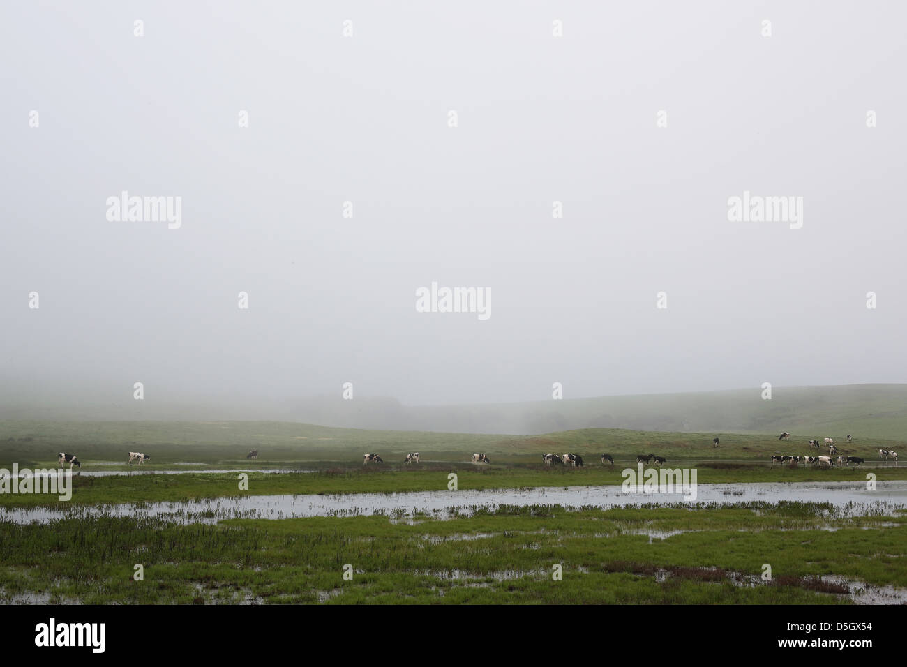 A foggy ranch in rural Sonoma County, California Stock Photo - Alamy