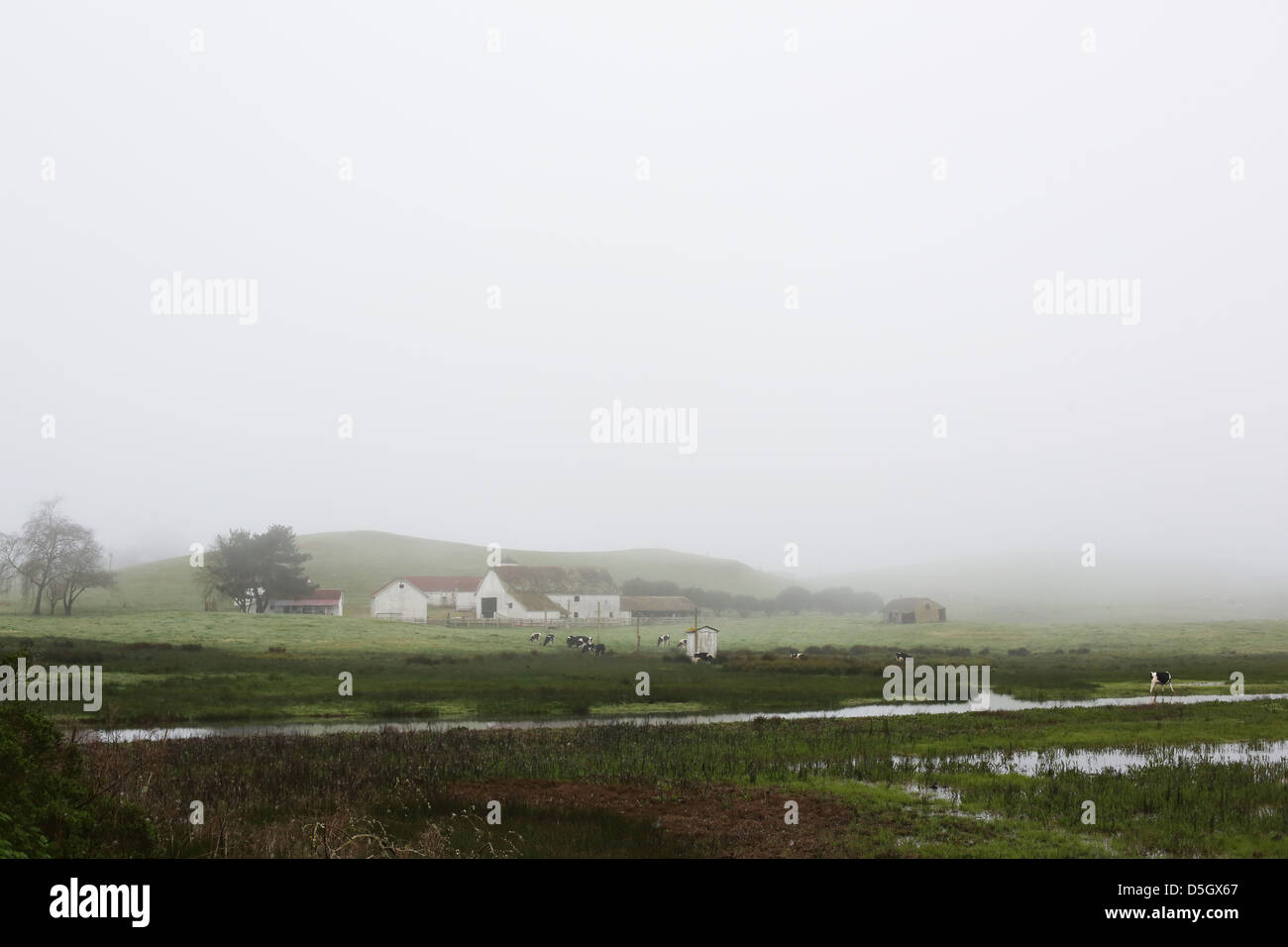 A foggy ranch in rural Sonoma County, California. Stock Photo