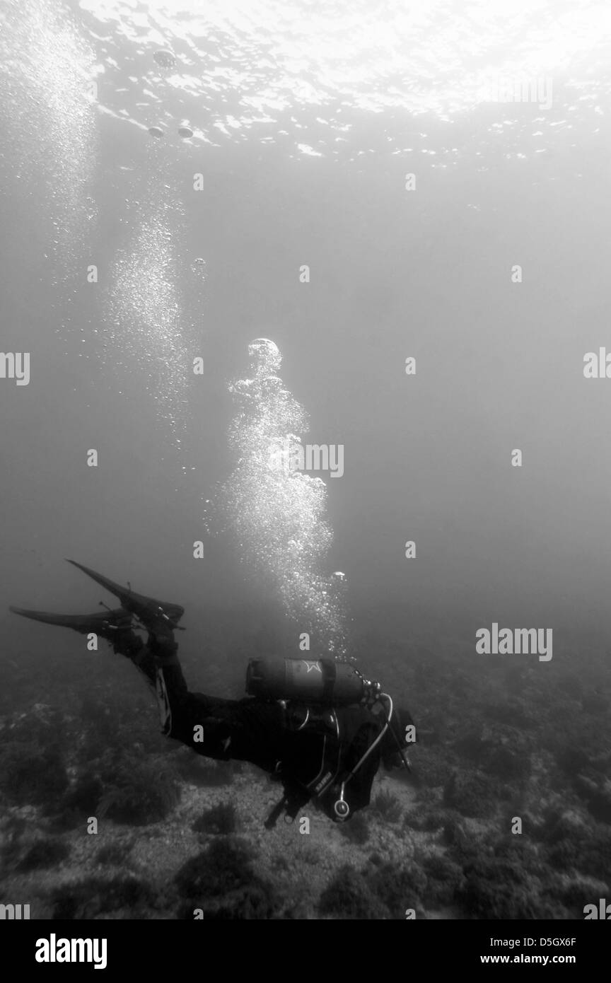 Diver Black and White Stock Photos & Images - Alamy