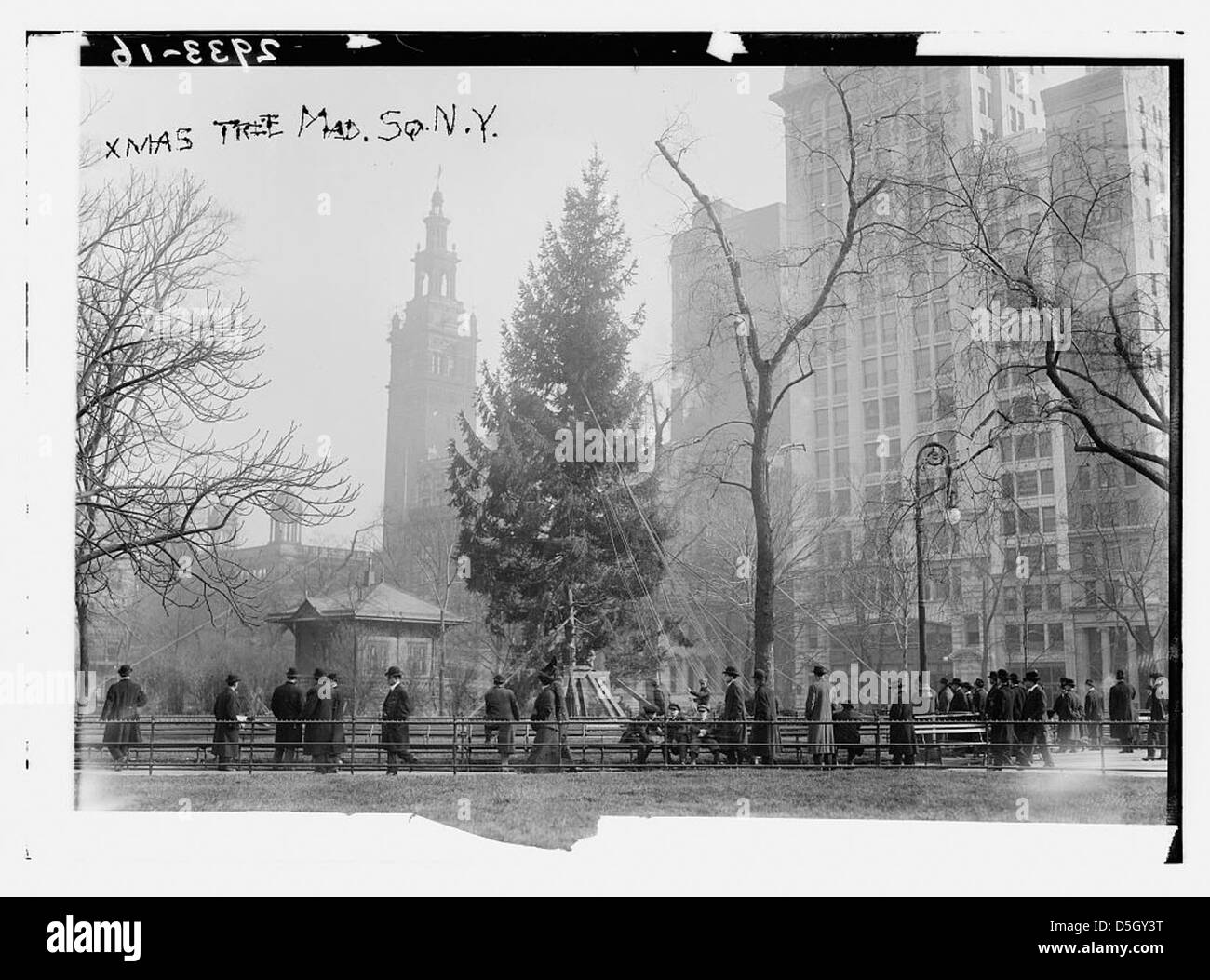 Xmas tree - Madison Sq. N.Y. (LOC) Stock Photo