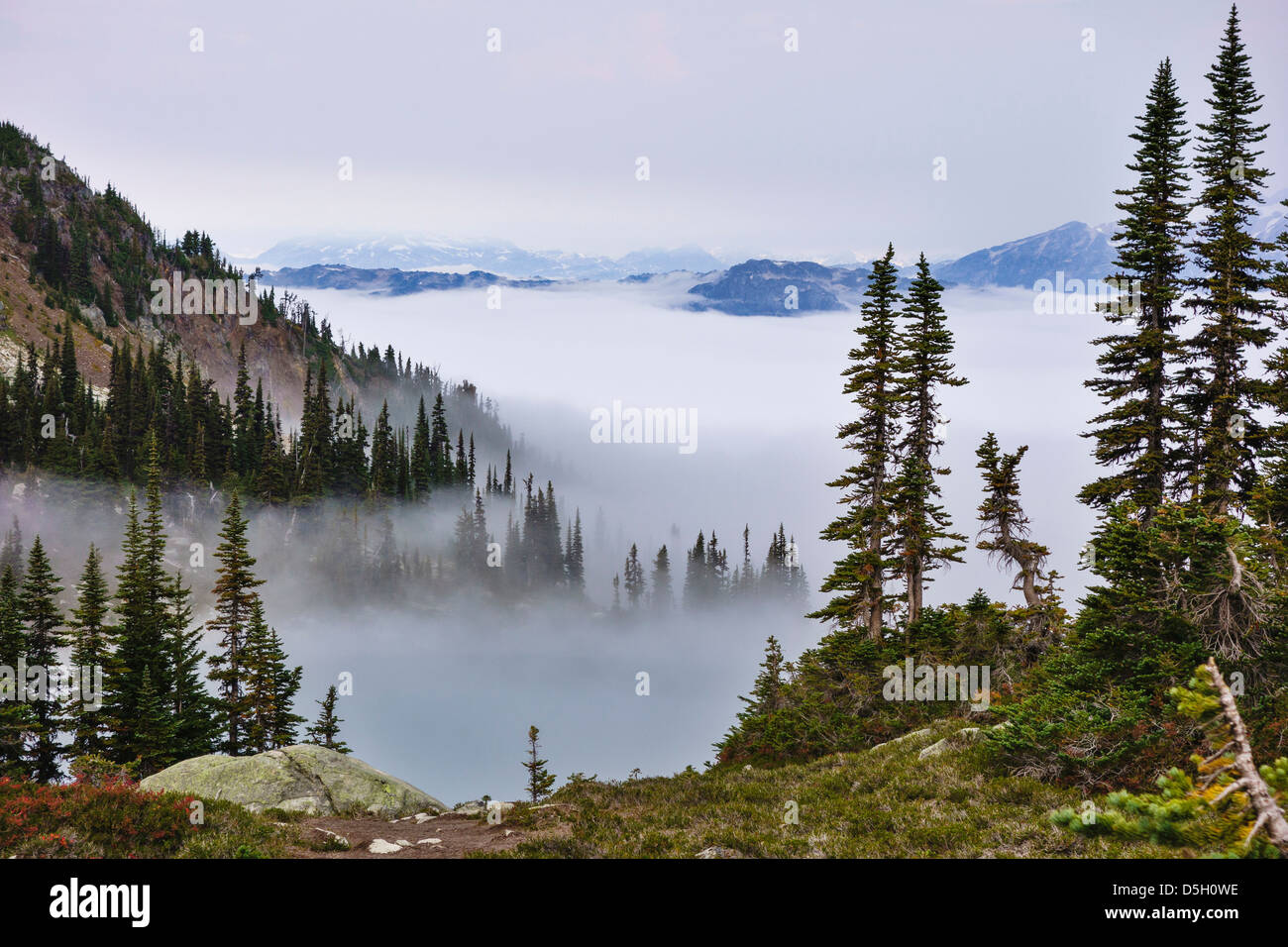 British Columbia, Whistler. Coming out of the clouds on Whistler Mountain. Stock Photo