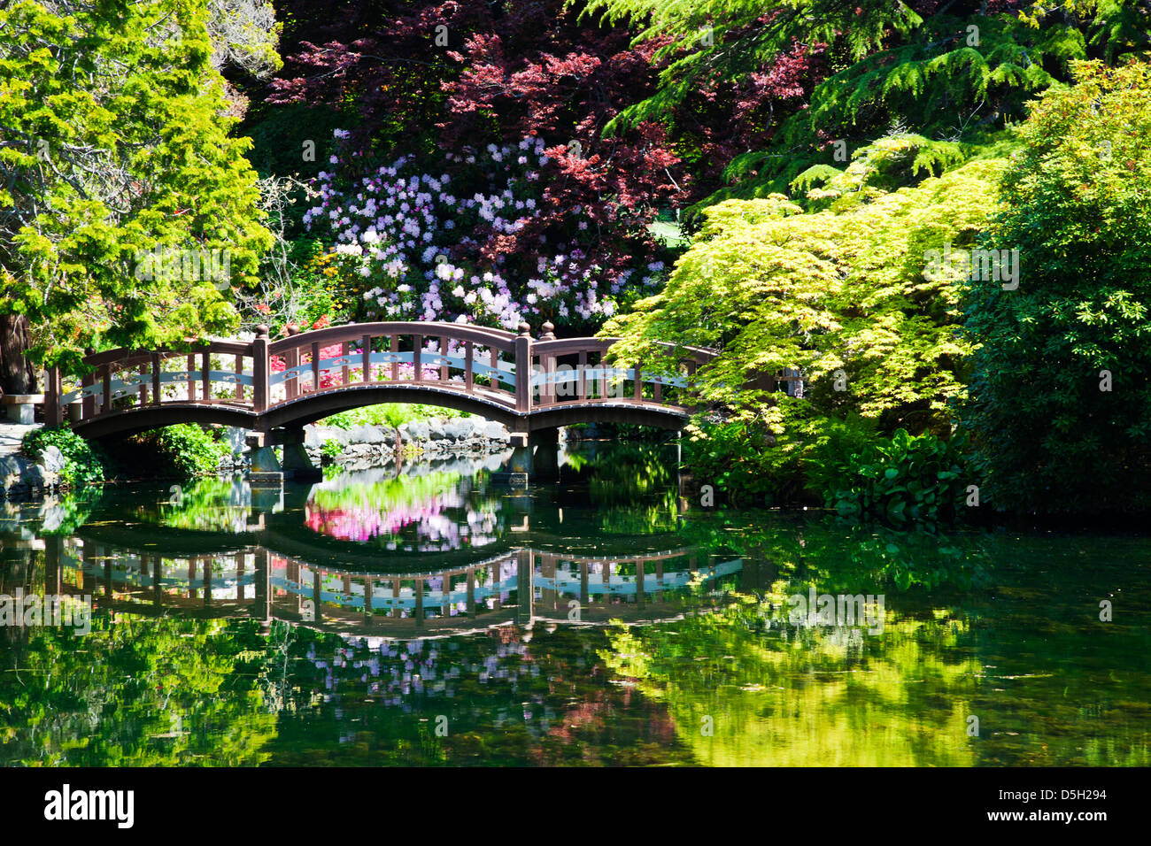 North America, Canada, Vancouver Island, Hately Gardens, Foot Bridge