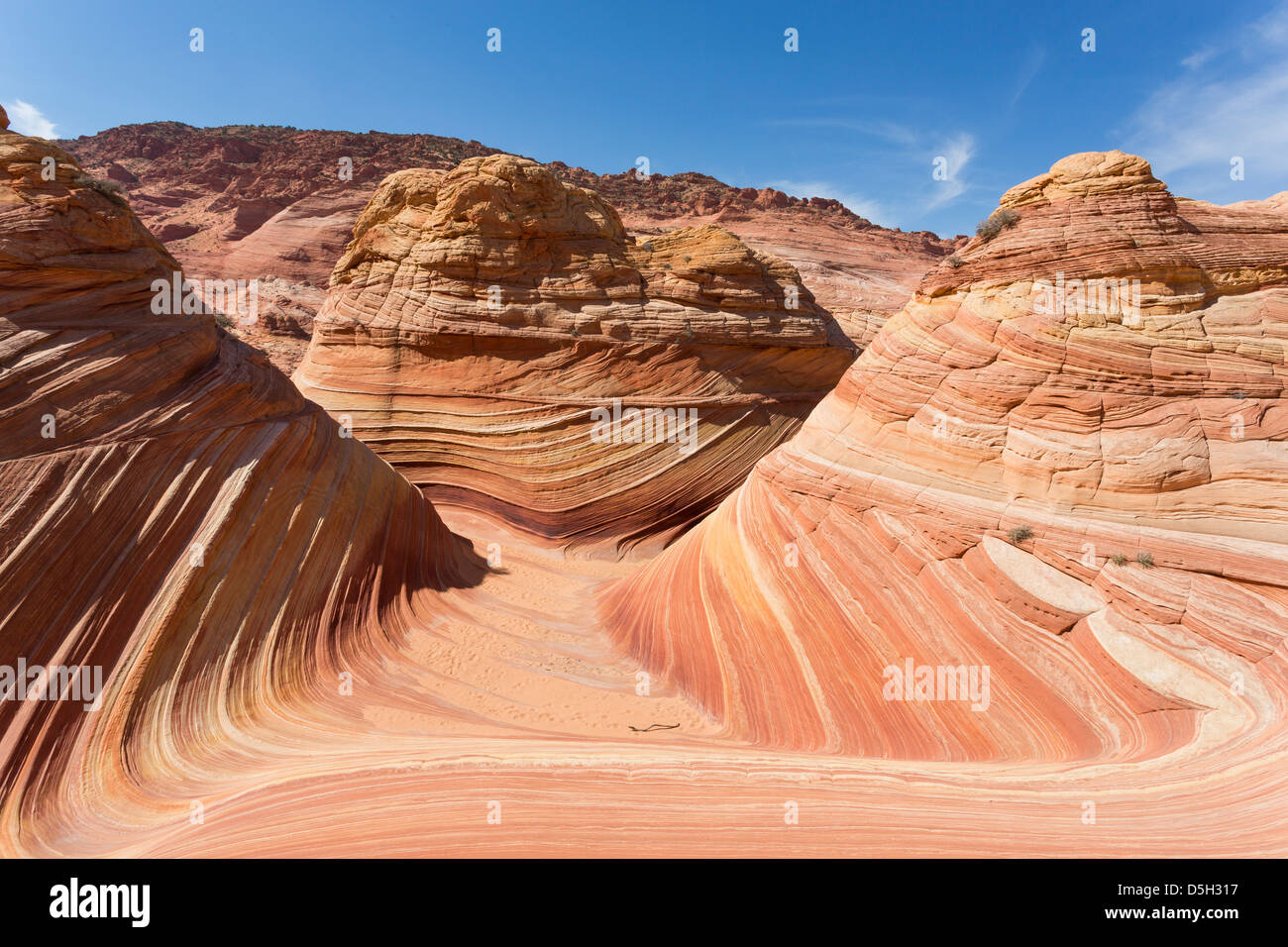 Wide angle view on the iconic Wave - colorful sandstone rock formation ...
