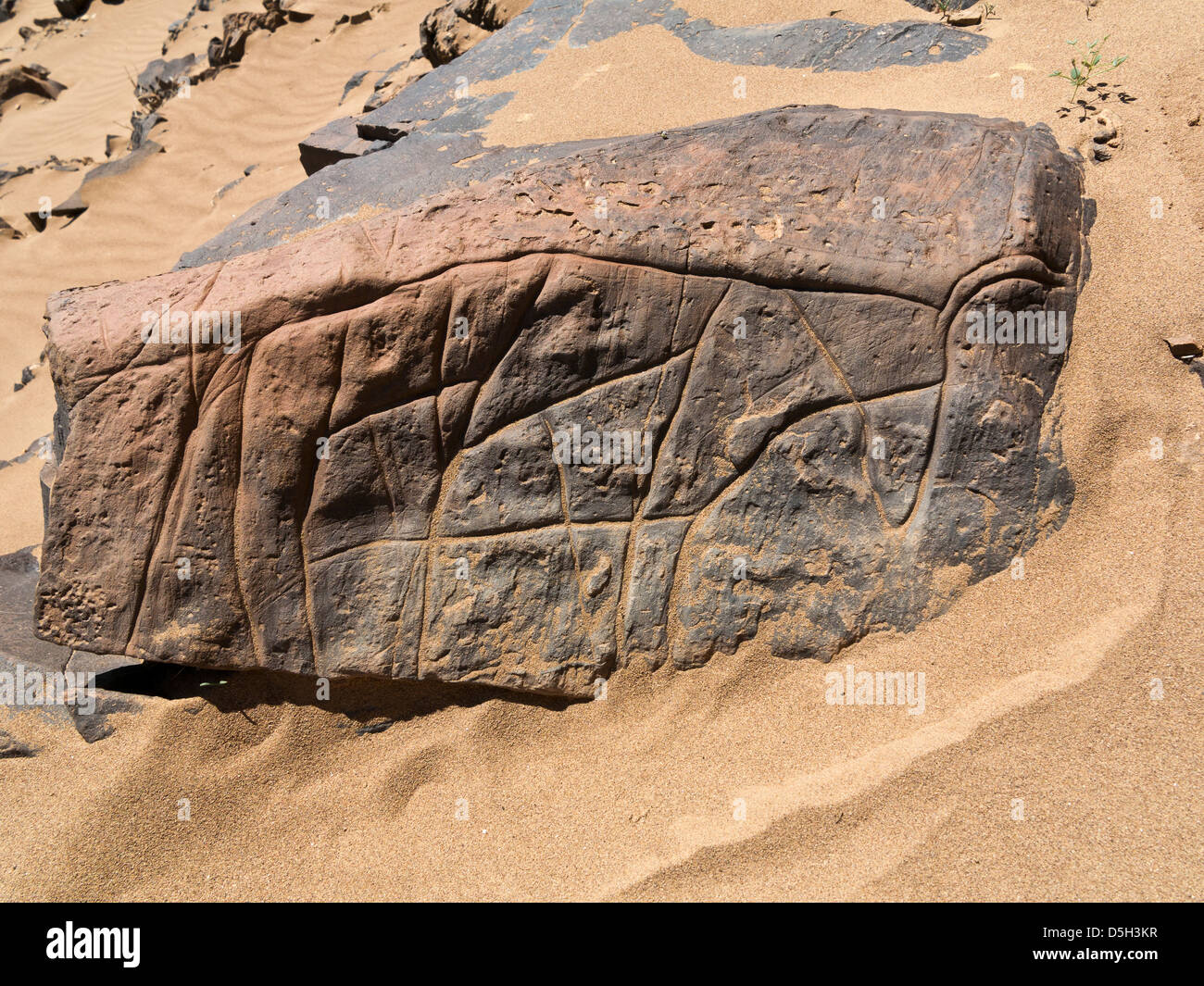 Prehistoric rock carvings at Oued Mestakou on the Tata to Akka road in Morocco. Stock Photo