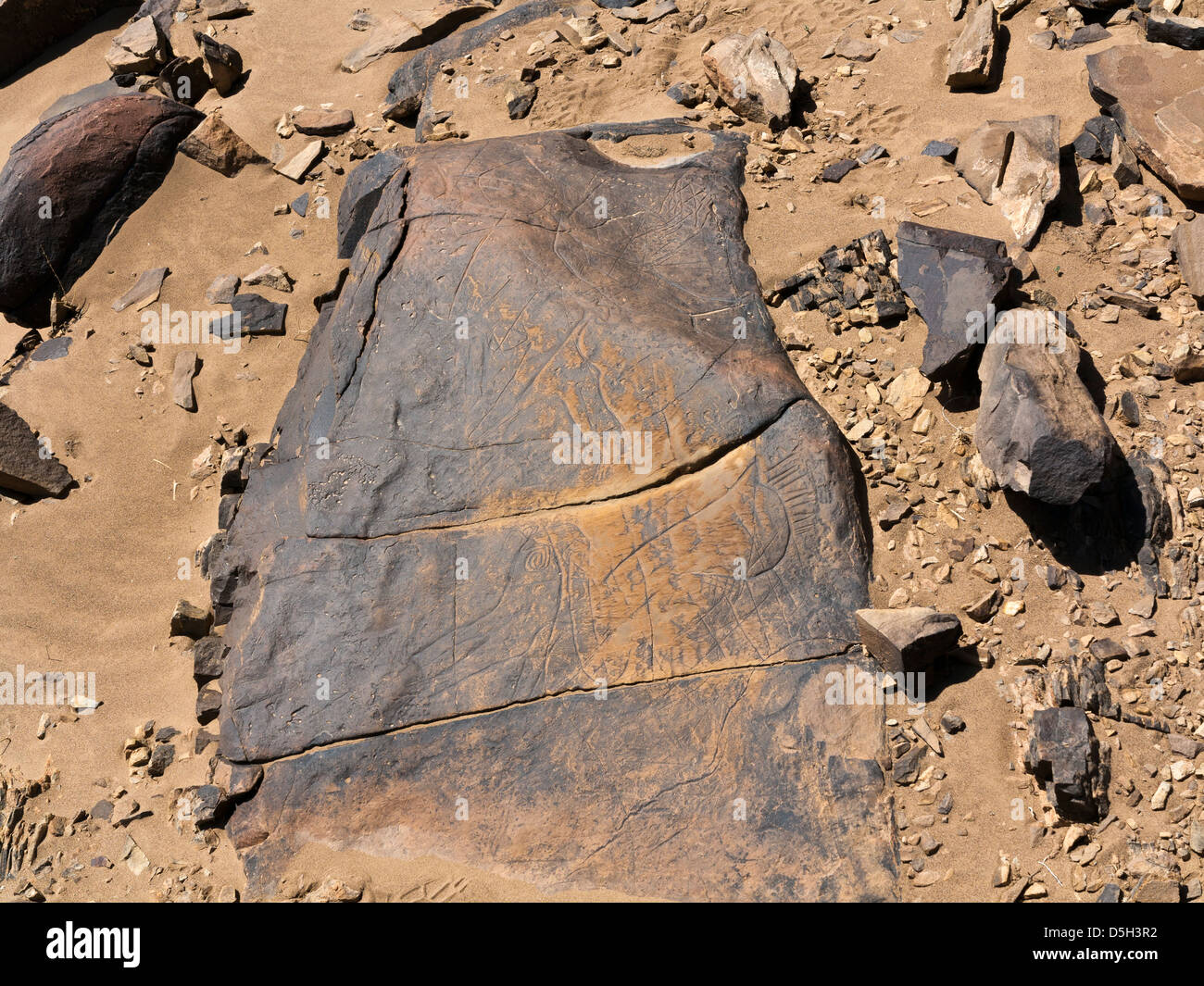 Prehistoric rock carvings at Oued Mestakou on the Tata to Akka road in Morocco. Stock Photo