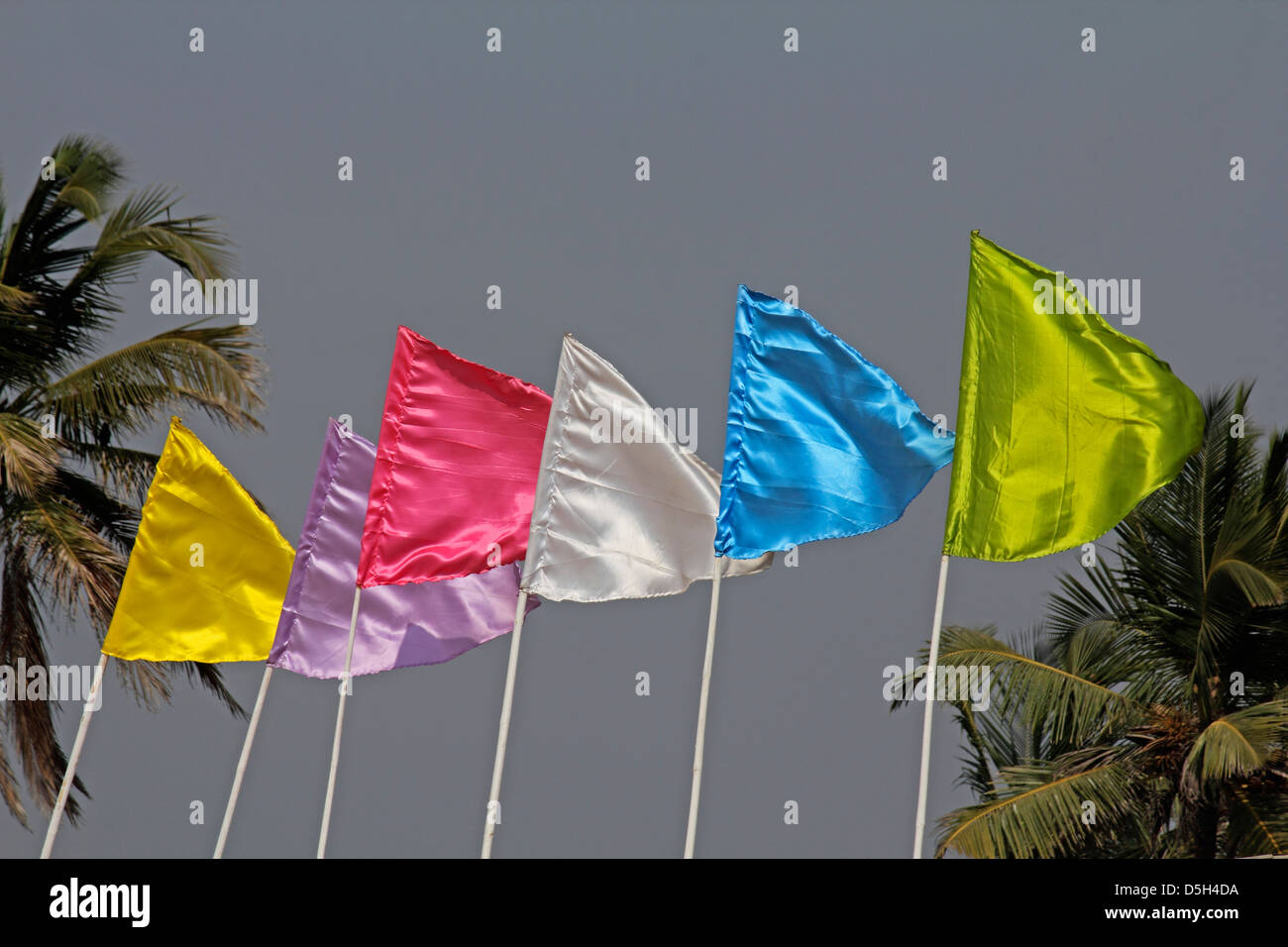 Colored flags flapping in the wind on a beach Stock Photo Alamy