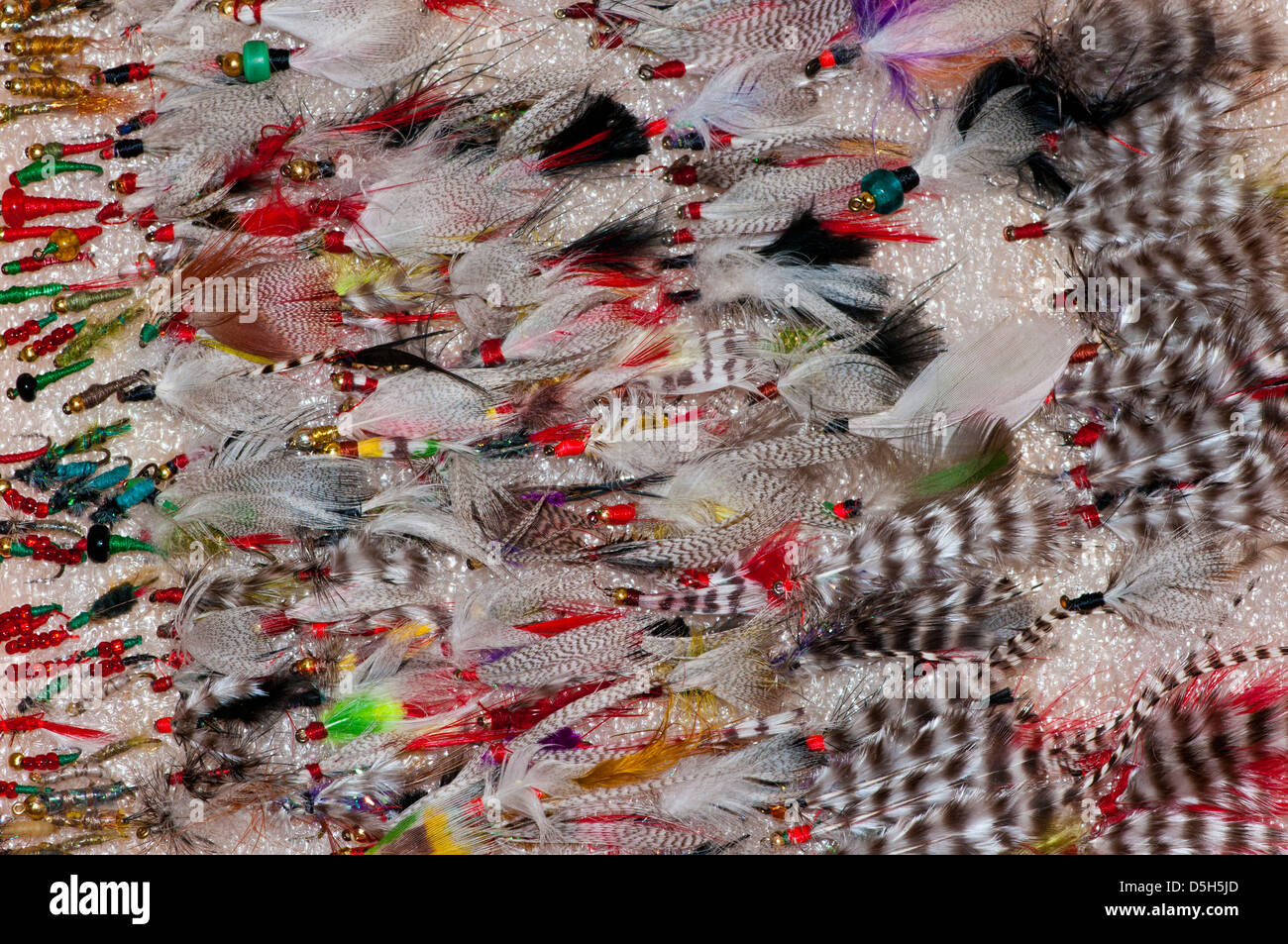 Selection of fishing flies Stock Photo