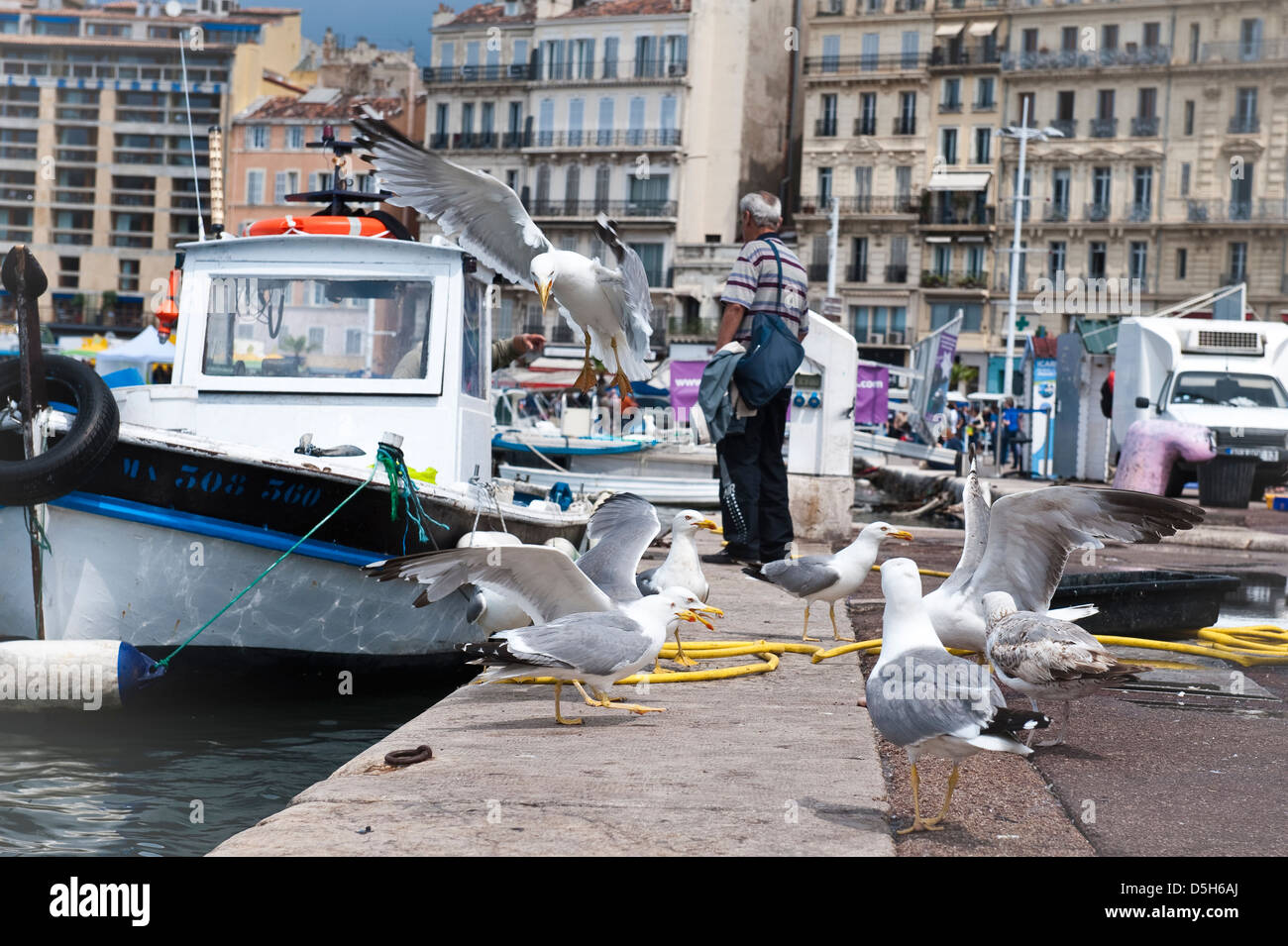 Fishing boats in the old harbour, Marseille, France Stock Photo