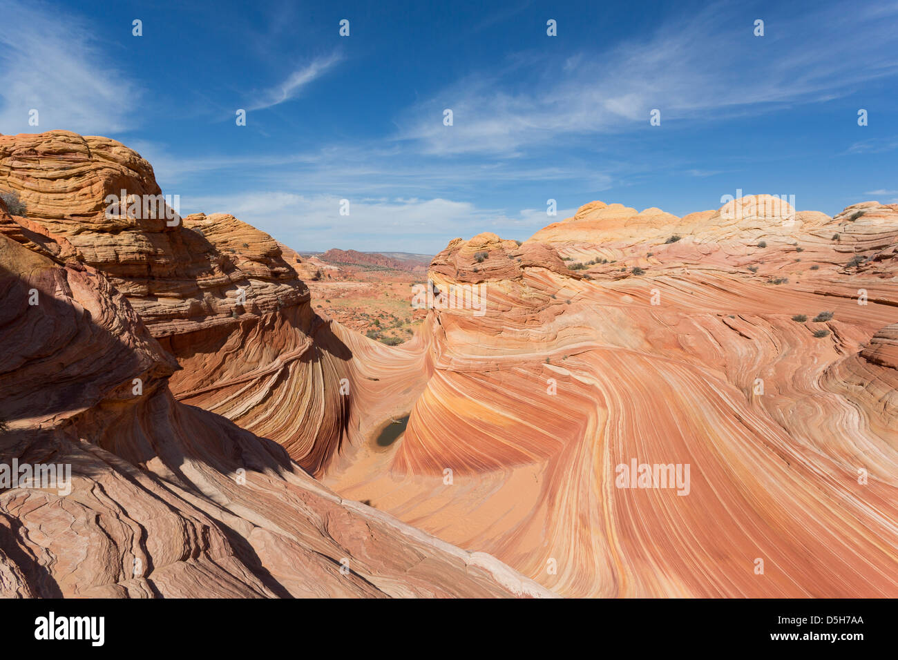 Wide angle view on the iconic Wave - colorful sandstone rock formation ...