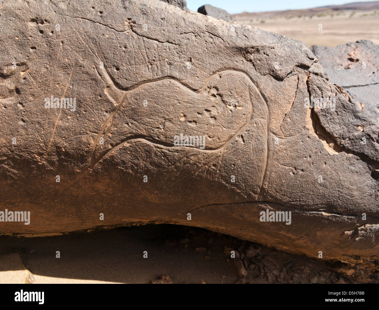 Prehistoric rock carvings at Oued Mestakou on the Tata to Akka road in Morocco. Stock Photo