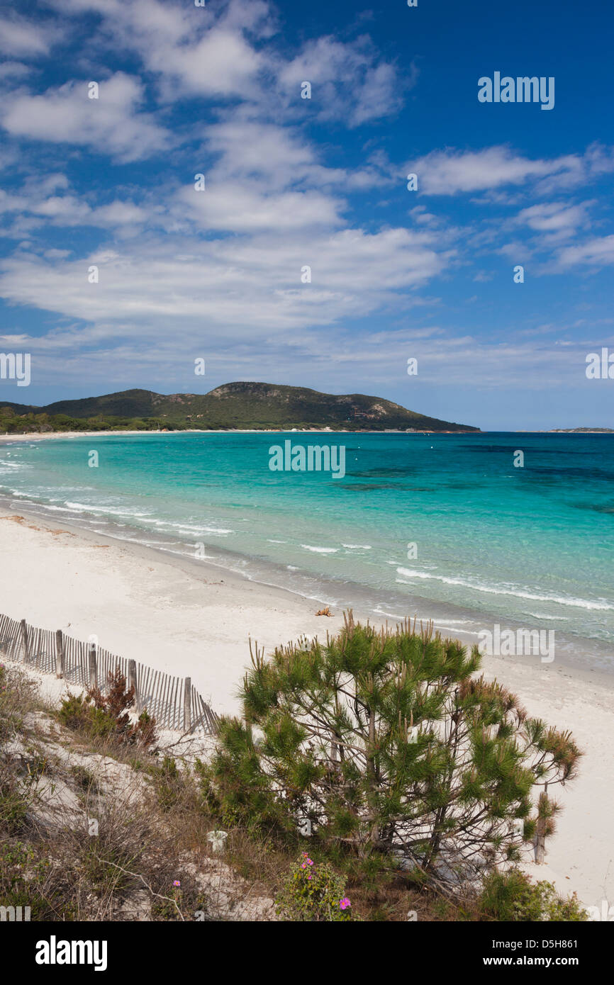 France Corsica Porto Vecchio Plage De Palombaggia Beach