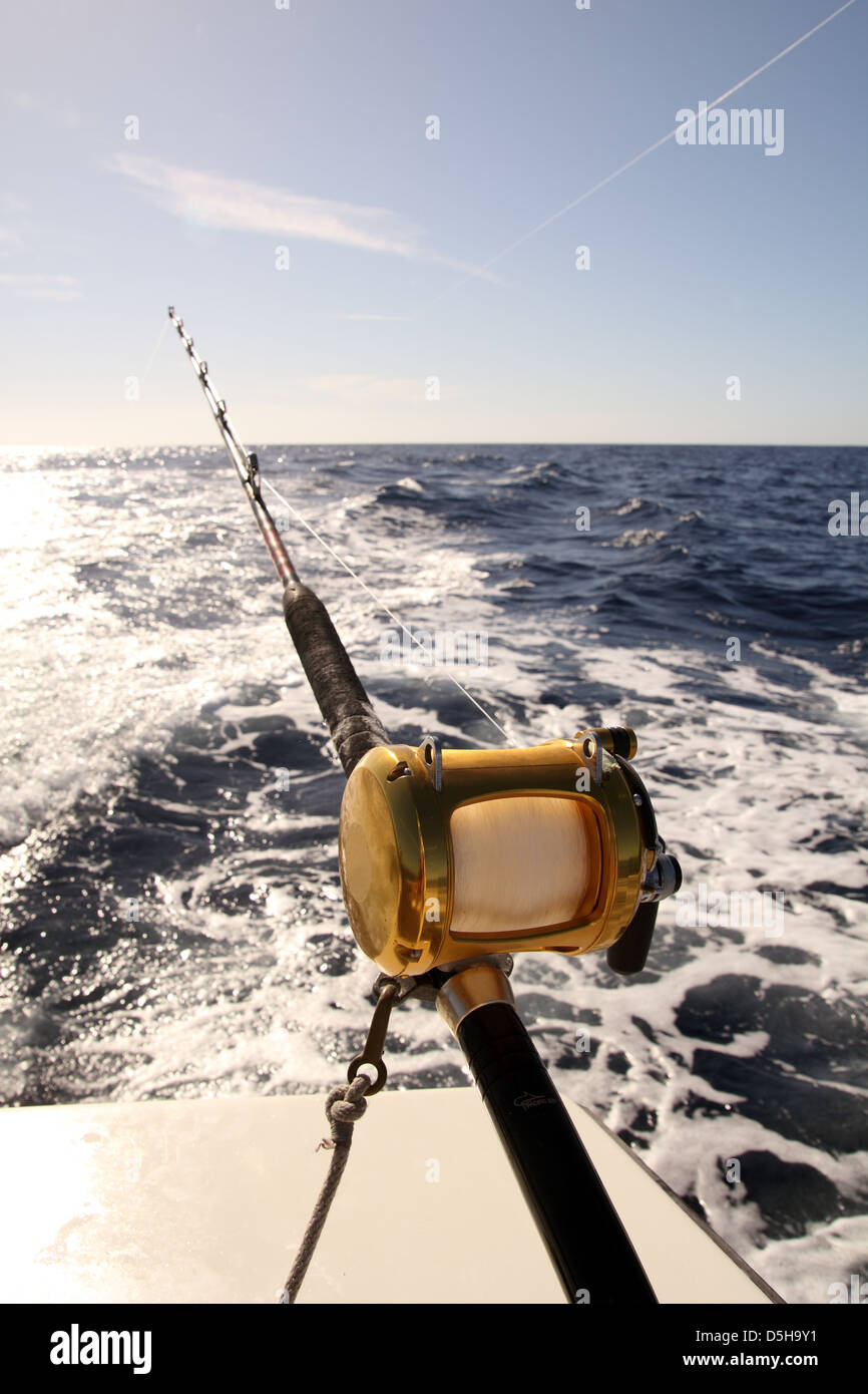 Fishing rod reel blue marlin hi-res stock photography and images - Alamy