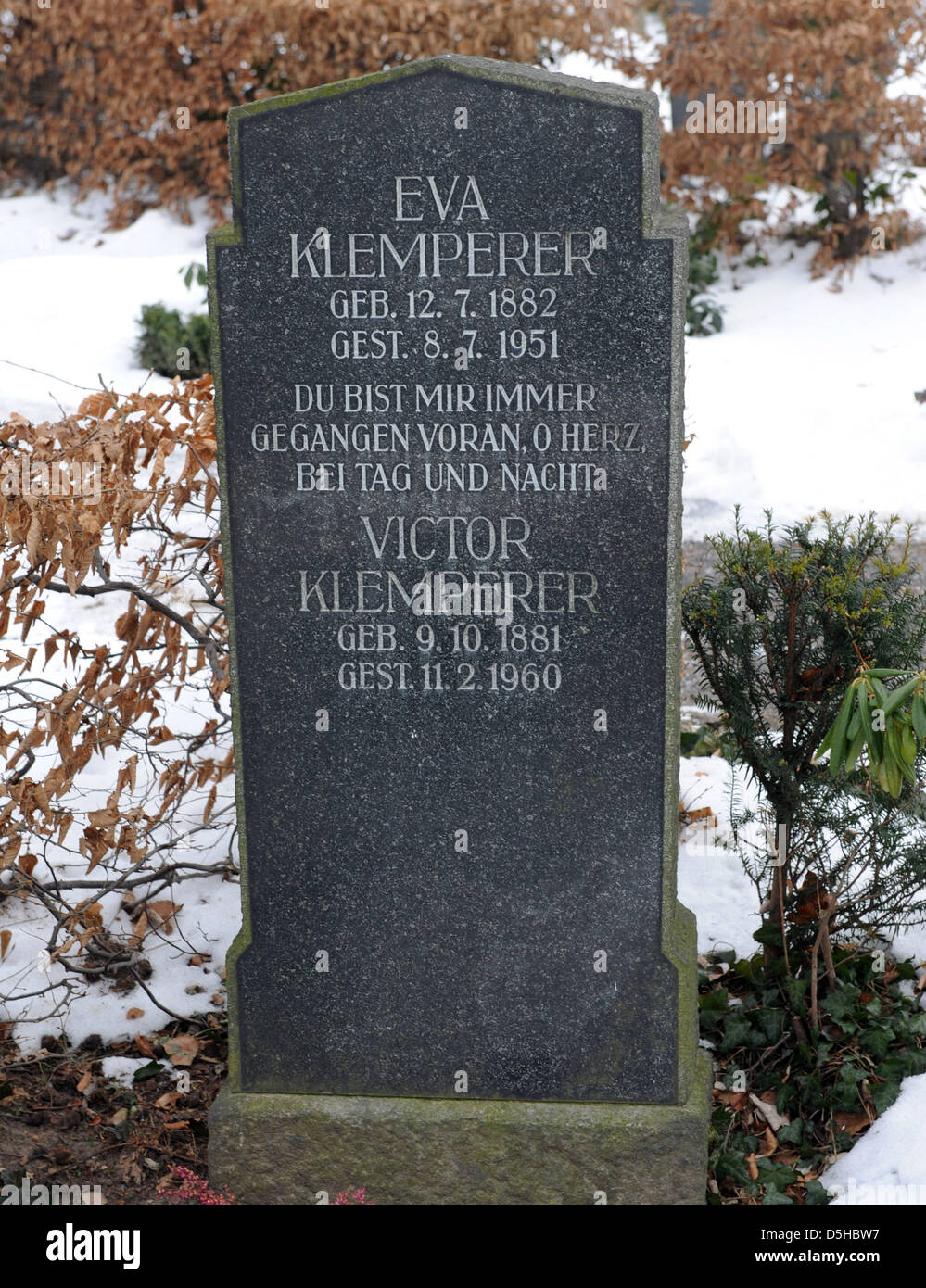 The grave of Victor Klemperer pictured in Dresden, Germany, 09 February 2010. Philologist Klemperer was born on 09 October 1881 in Landsberg and died on 11 February 1960 in Dresden. Klemperer's diaries, 'Ich will Zeugnis ablegen bis zum letzten' ('I want to witness to the last'), which were published in 1995 are considered a most impressive account of the Nazi regime from 1933 to 1 Stock Photo