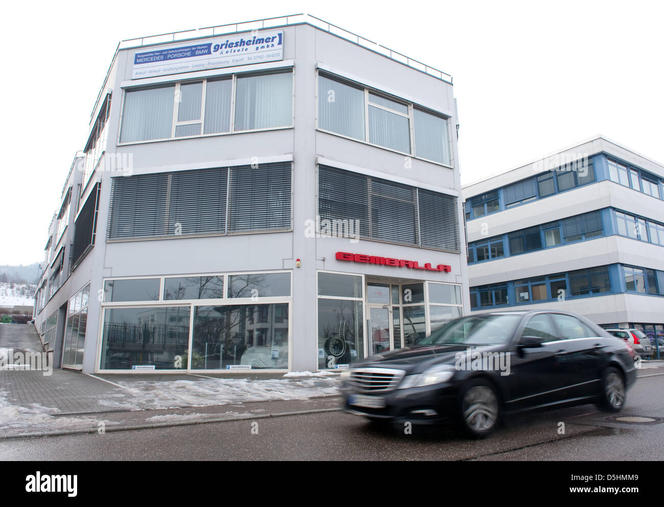 Page 3 Leonberg High Resolution Stock Photography And Images Alamy