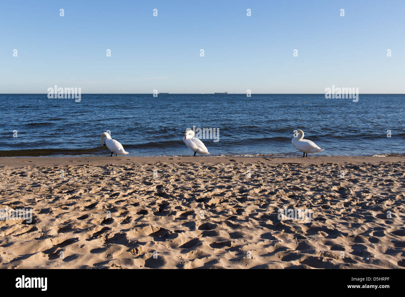 Polish Baltic coast on Gdansk beach Stock Photo